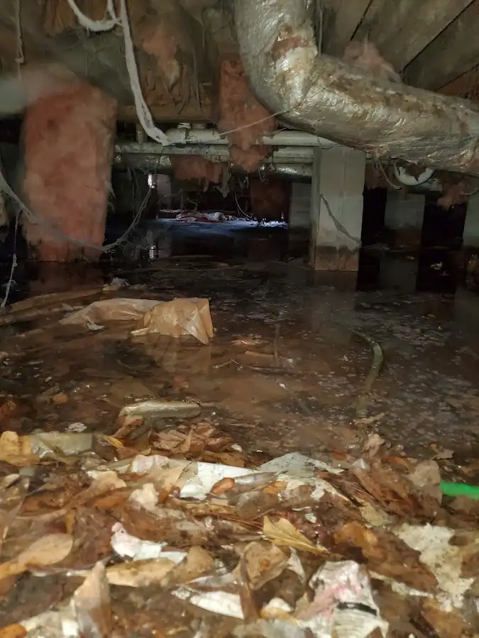 Crawl space flood assessment for Commercial Water Damage Restoration in La Cresta